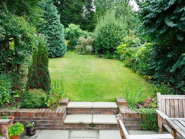 A view of a lush green garden from a patio.