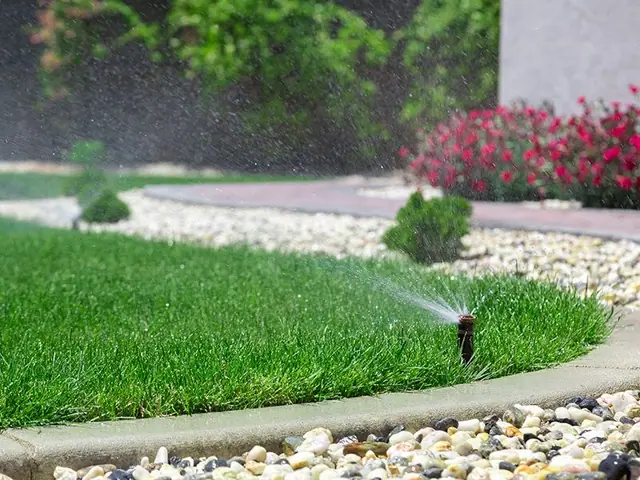 A lawn sprinkler is spraying water on a lush green lawn.