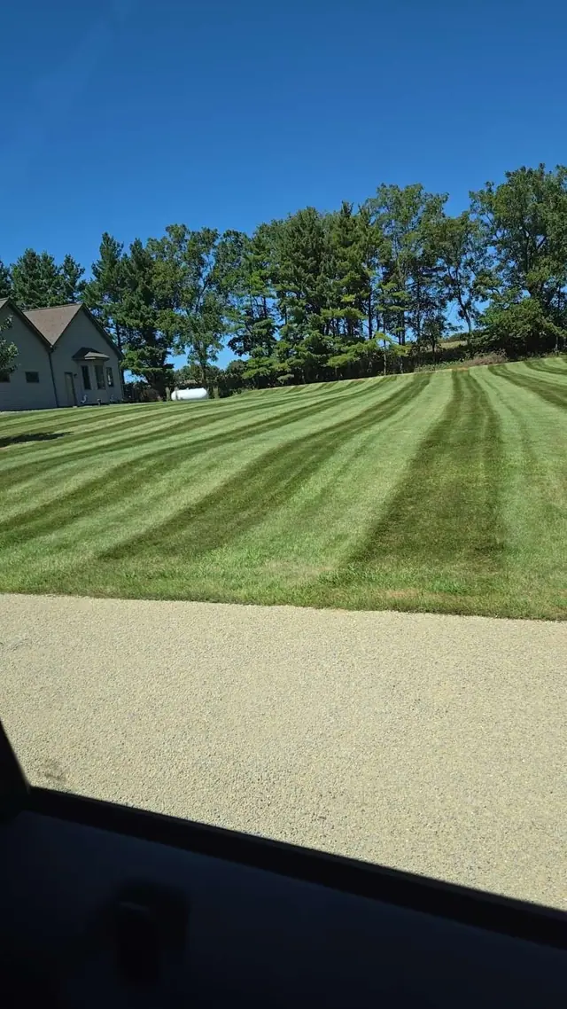 A view of a lush green lawn from a car window.