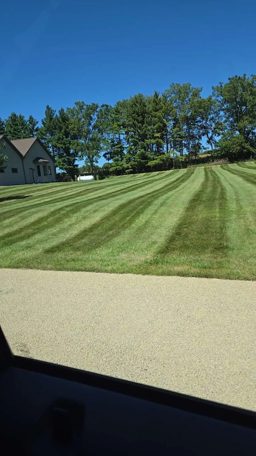 A view of a lush green lawn from a car window.